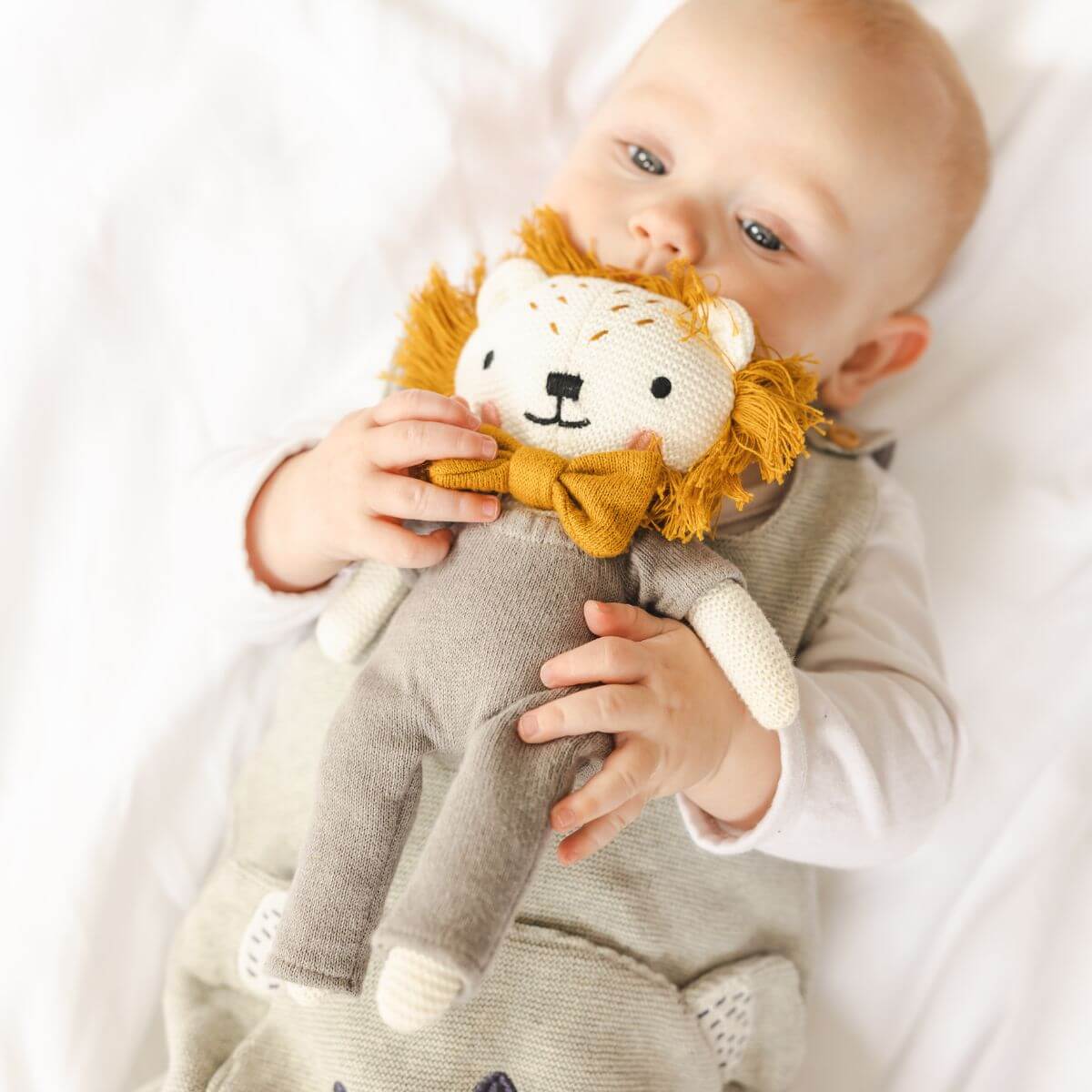 Lucas Lion Toy