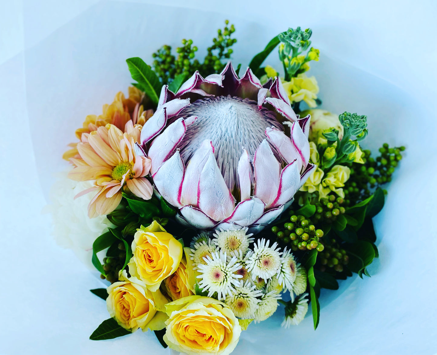 King protea special !!